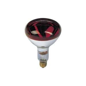 Infrarroja 150w